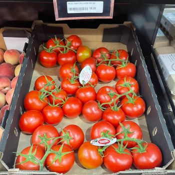 Truss Tomatoes Large - per kg
