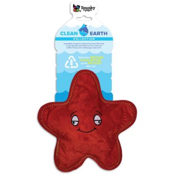 Spunky Pup Clean Earth Starfish Large