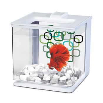 MARINA Betta Kit Aquarium 5 Litres - White