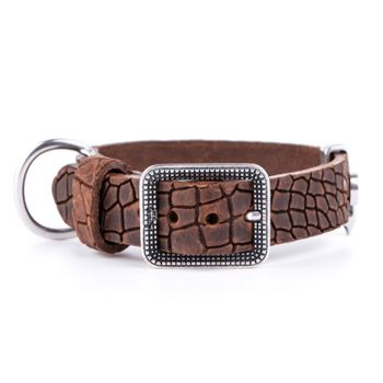 MY FAMILY Tuscon Brown Leather Dog Collar - Large