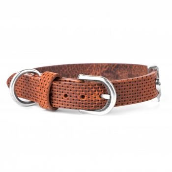 MY FAMILY Monza Brown Leather Dog Collar - Medium