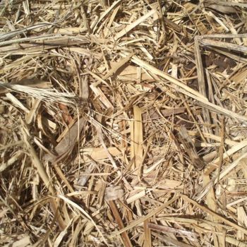 GROW BETTER Sugar Cane Mulch